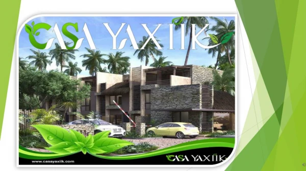 Best Time to Book Luxury Villas Riviera Maya