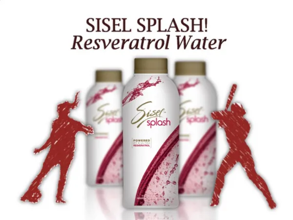 SISEL SPLASH