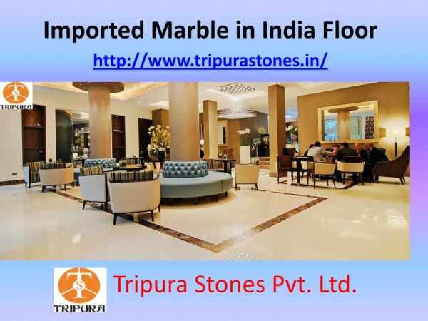 Imported Marble in India Floor