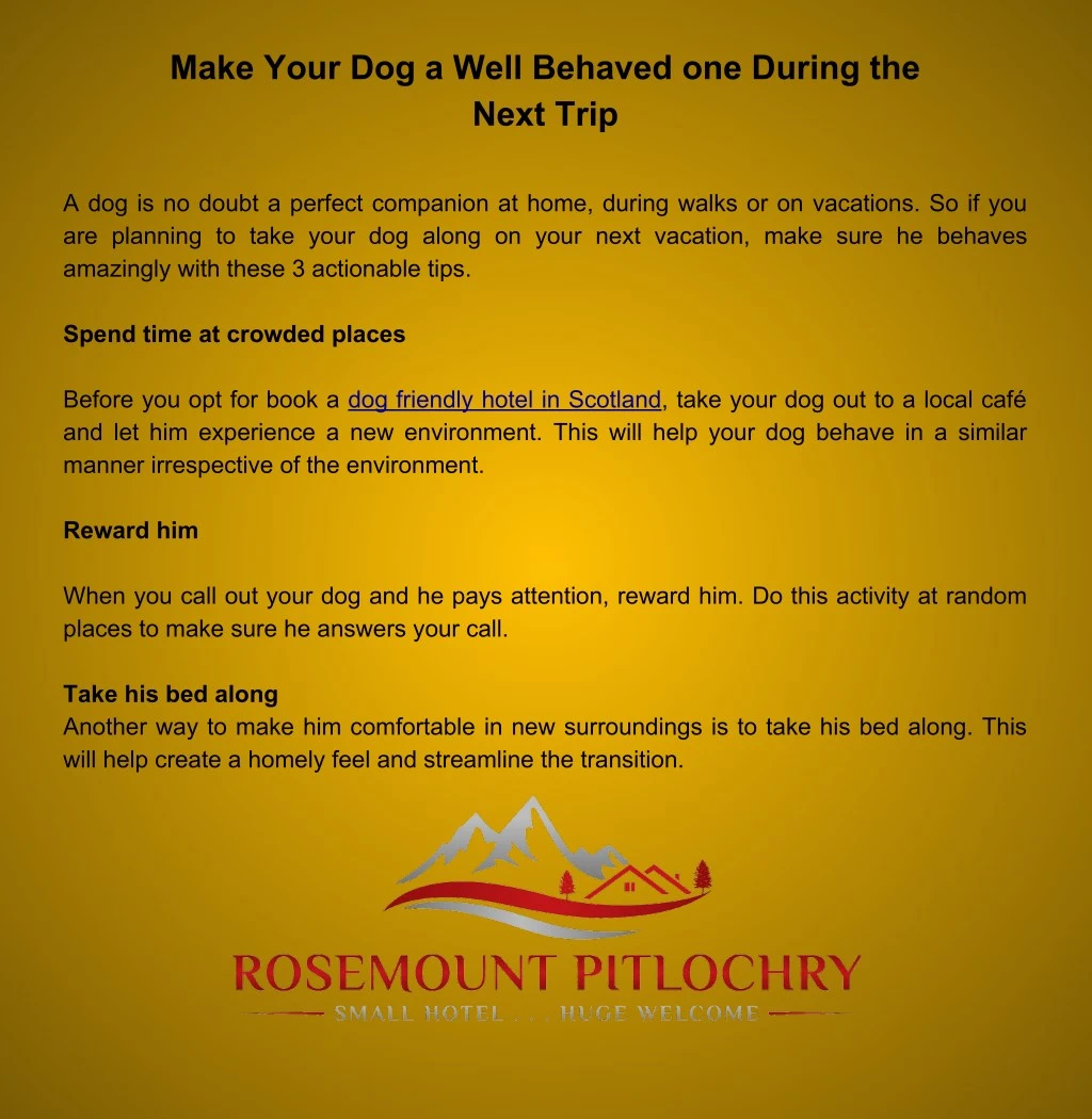 make your dog a well behaved one during the next