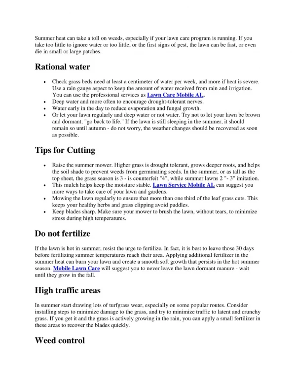 Late Summer Lawn Care Tips