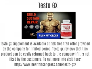 Testo GX - slide 1