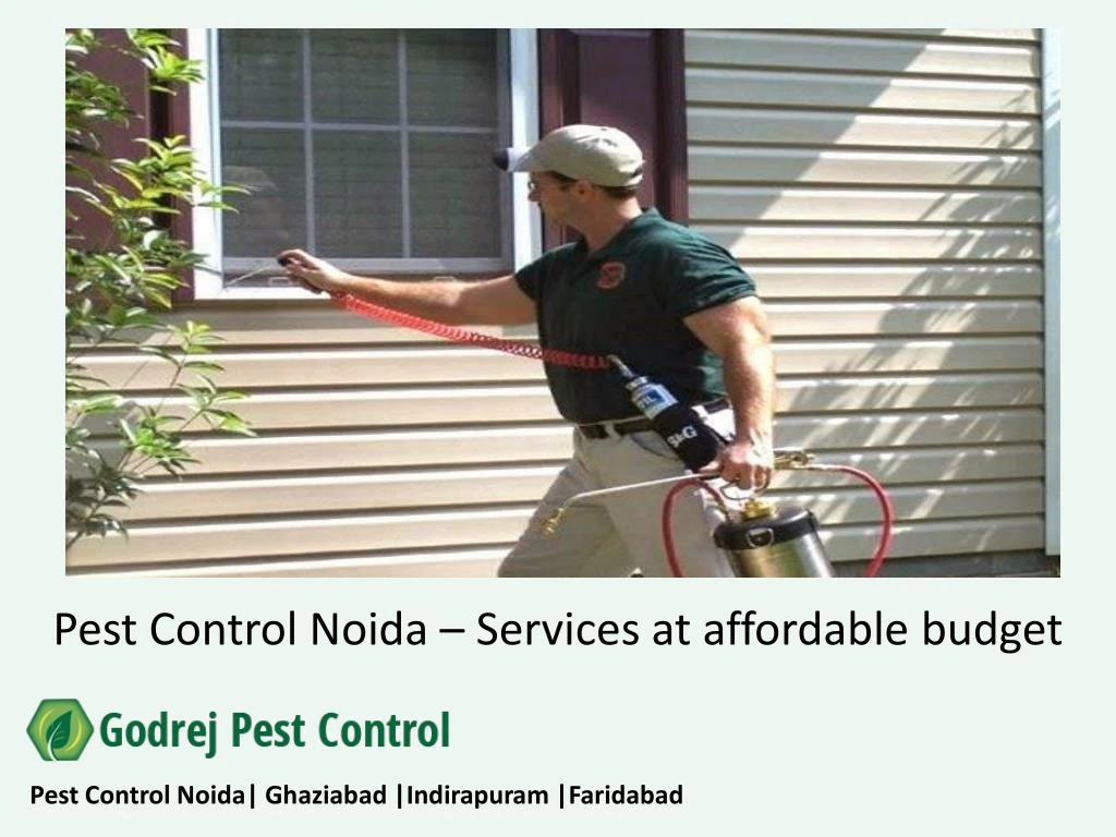 pest control noida services at affordable budget
