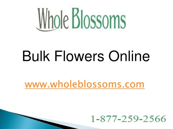 Bulk Flowers Online - www.wholeblossoms.com