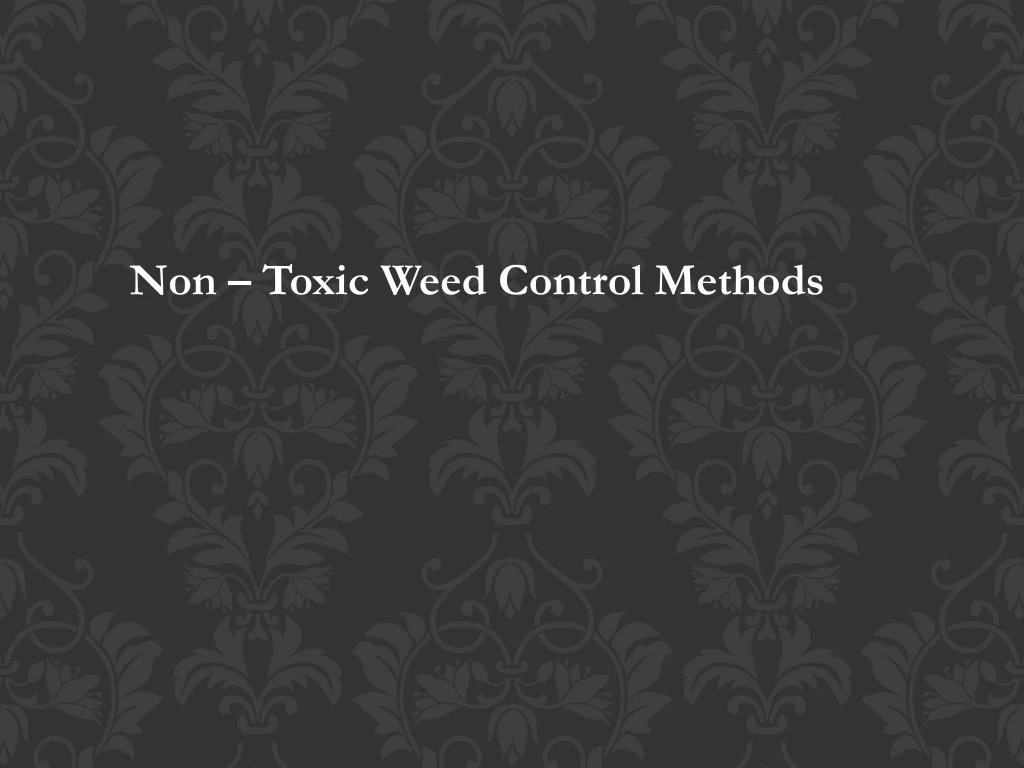 non toxic weed control methods