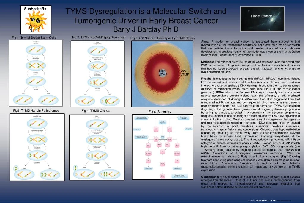 tyms dysregulation is a molecular switch