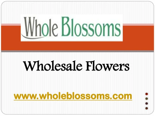 Wholesale Flowers – Wholeblossoms