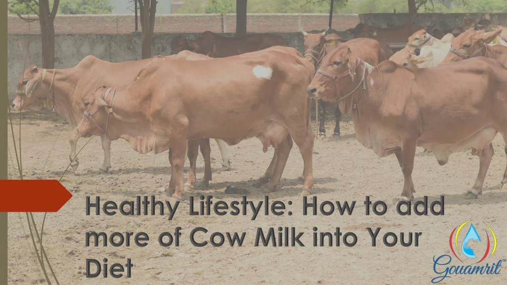 healthy lifestyle how to add more of cow milk into your diet