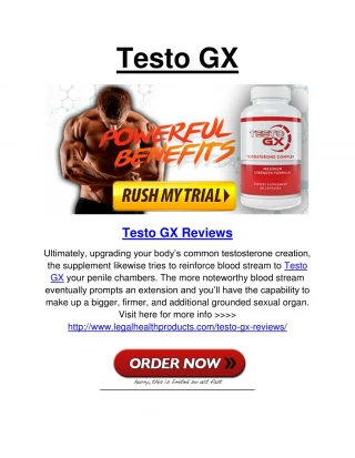 Testo GX - slide 1