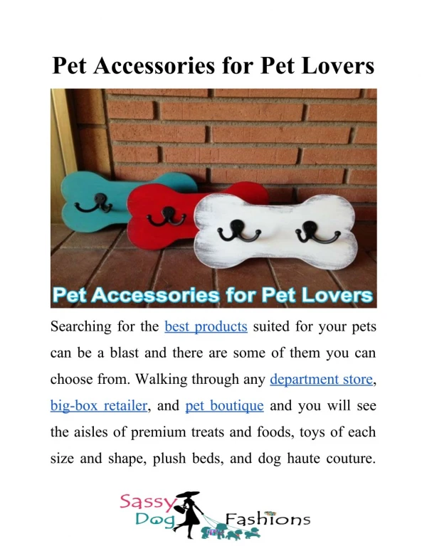 Pet Accessories for Pet Lovers