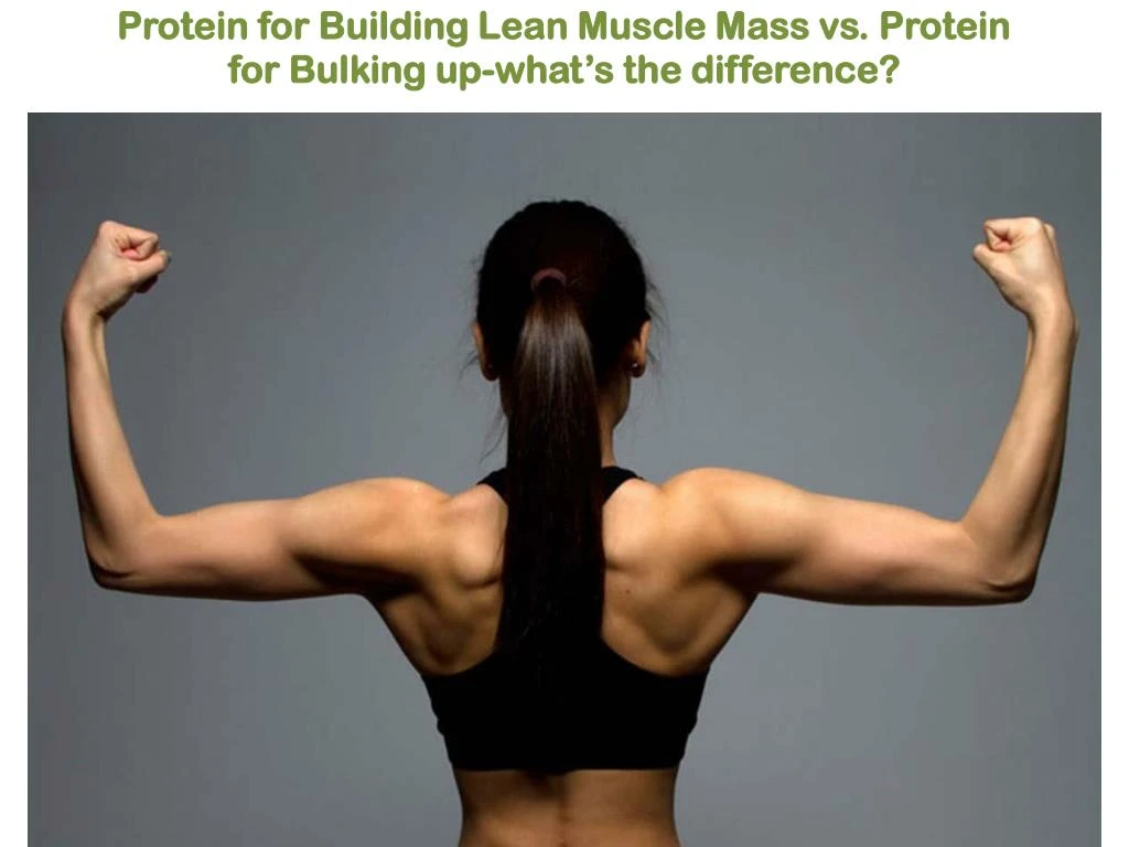 protein for building lean muscle mass vs protein for bulking up what s the difference