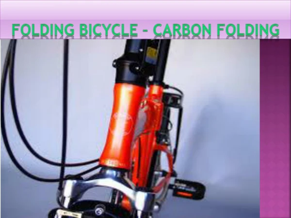 Carbon Folding Bike