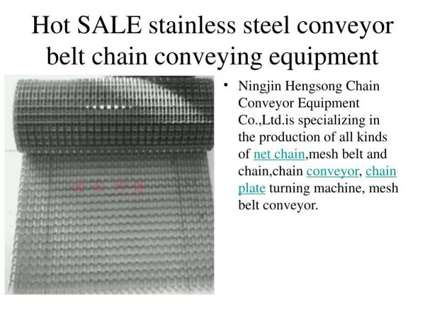 Hot SALE stainless steel conveyor belt chain conveying equipment