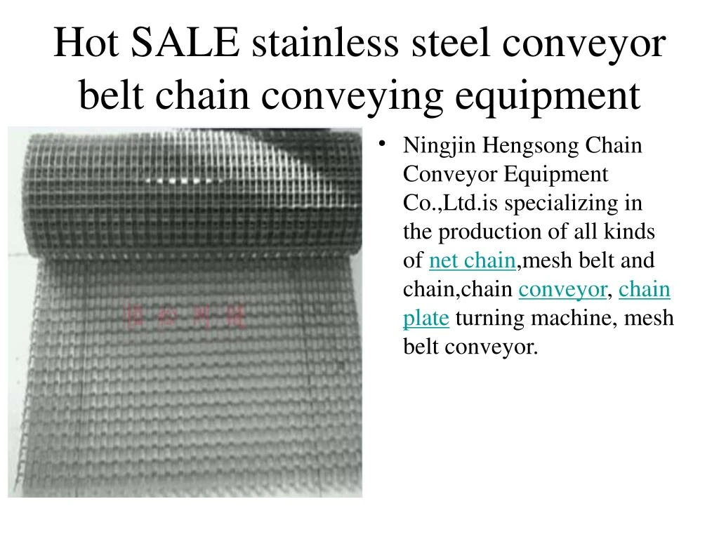hot sale stainless steel conveyor belt chain conveying equipment