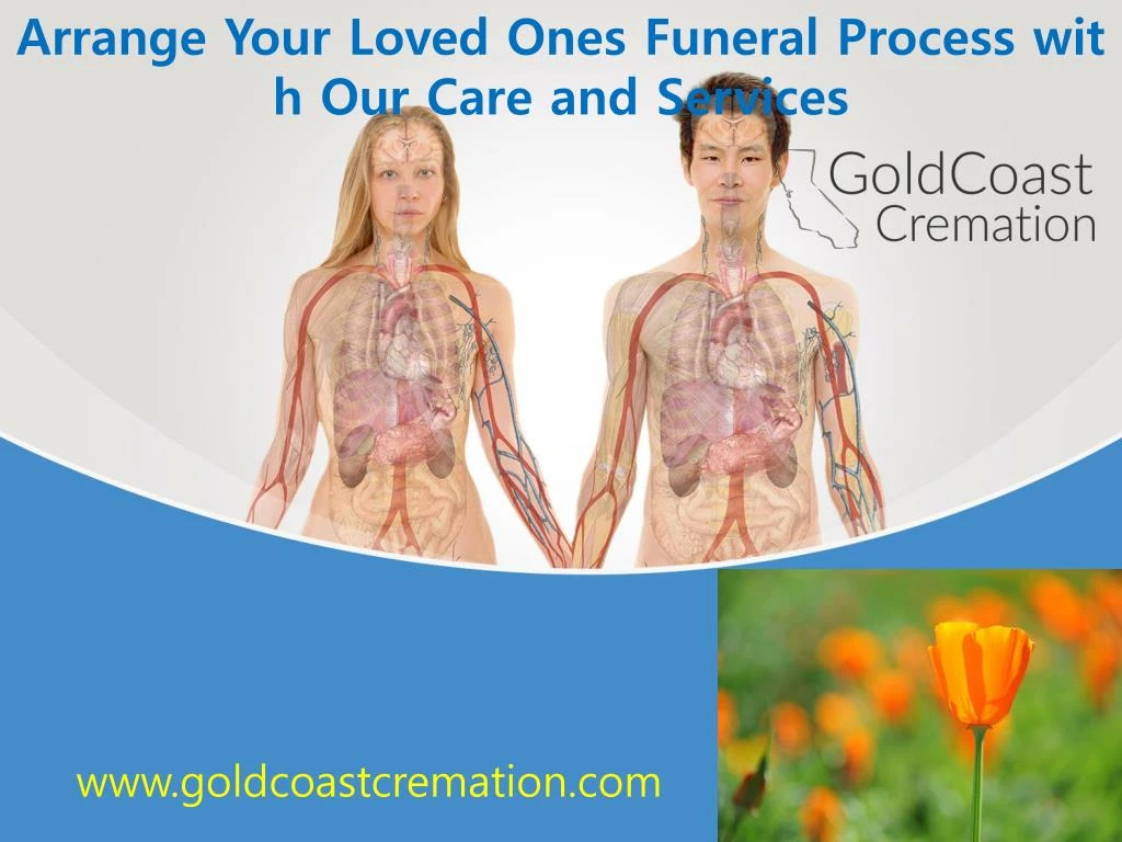 arrange your loved ones funeral process with