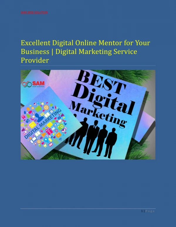 sam web solution