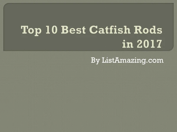 Top 10 Best Catfish Rods in 2017