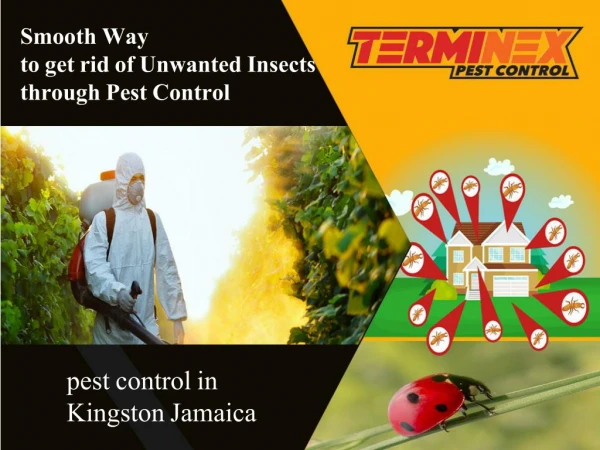 Smooth Way to get rid of Unwanted Insects through Pest Control