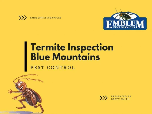 Termite Baits Signifying the Termite Inspection Blue Mountains