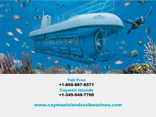 Atlantis Submarine Day Dive in George Town Grand Cayman