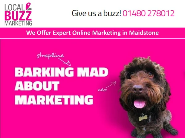We Offer Expert Online Marketing in Maidstone