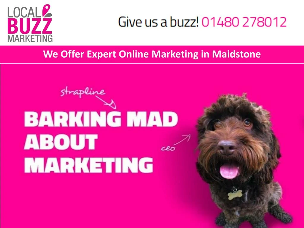 we offer expert online marketing in maidstone