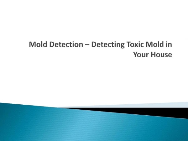 Mold Detection – Detecting Toxic Mold in Your House