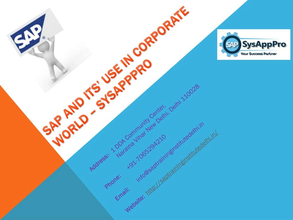 sap and its use in corporate world sysapppro
