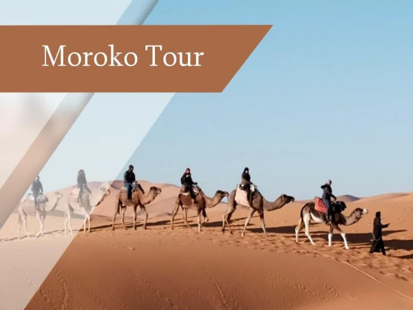 Tips for Choose Day Trip Excursion From Marrakech