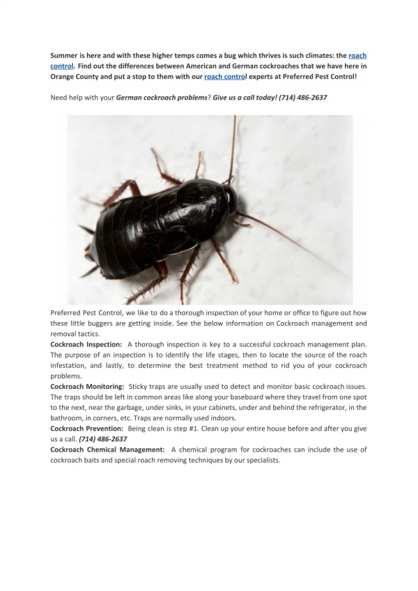 Roach control : Your Freind for Roach control in Orange County