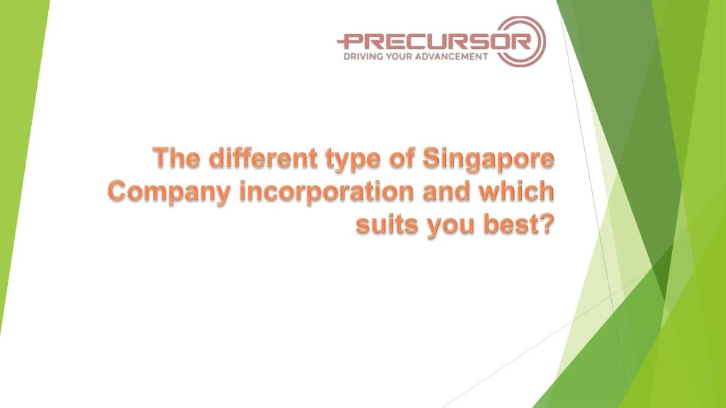 the different type of singapore company incorporation and which suits you best