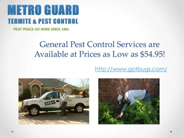 General Pest Control Services are Available at Prices as Low as $54.95!