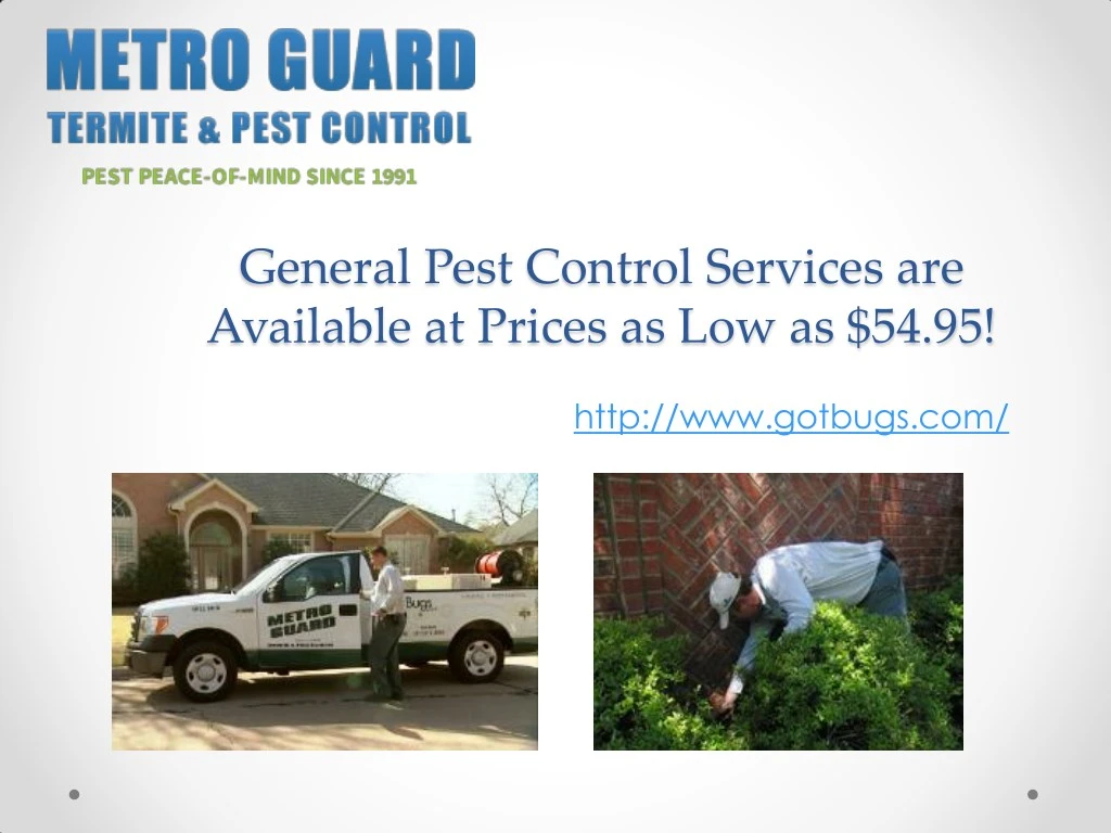 general pest control services are available