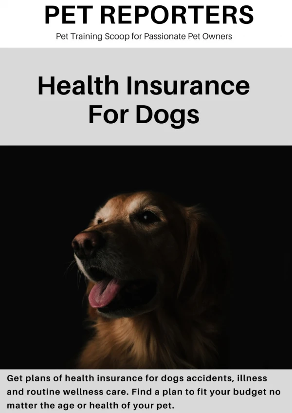 Health Insurance For Dogs