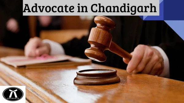 Advocate in Chandigarh | Best Criminal Lawyer