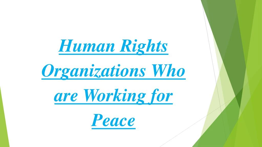 human rights organizations who are working