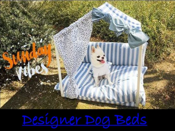 Designer Dog Beds | Doggie Couture Shop