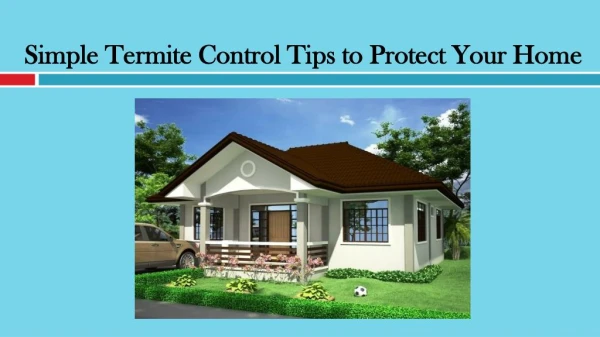 Simple Termite Control Tips to Protect Your Home