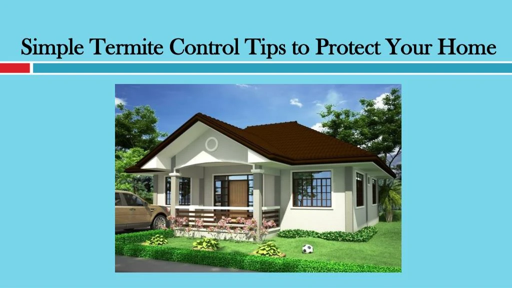 simple termite control tips to protect your home