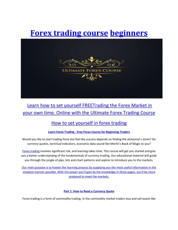 Forex trading course beginners