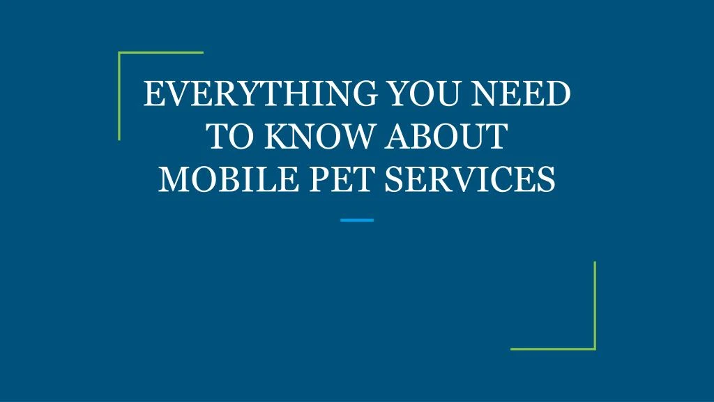 everything you need to know about mobile pet services