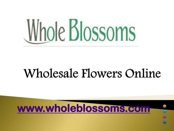 Wholesale Flowers Online - wholeblossoms