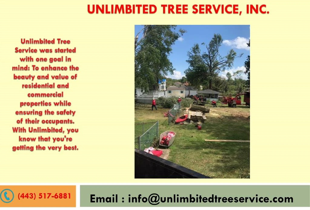 unlimbited tree service inc
