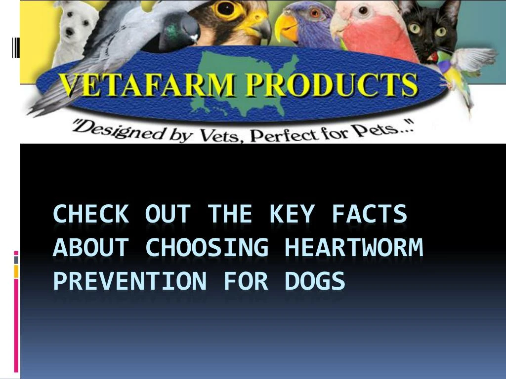 check out the key facts about choosing heartworm prevention for dogs