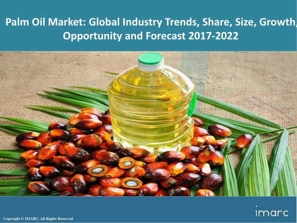 palm oil market global industry trends share size