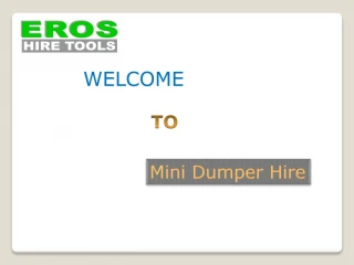 Mini Dumper - slide 1