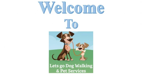 Dog Walking Business