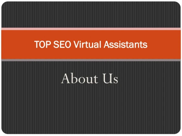 About TOP SEO Virtual Assistants