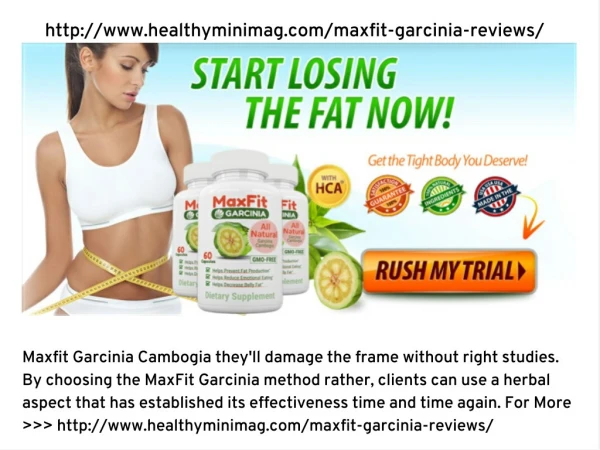 MaxFit Garcinia Cambogia is the lively component