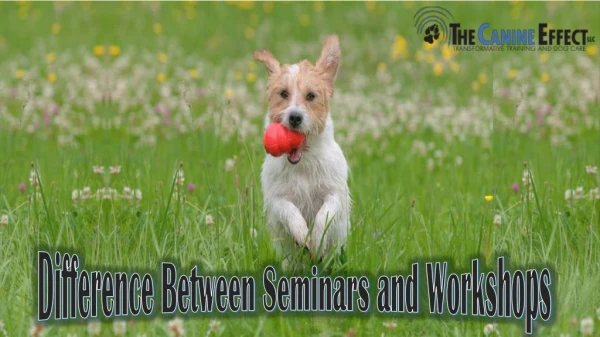 Difference between seminars and workshops